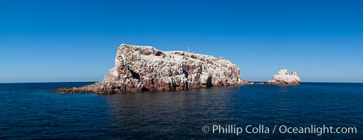 Los Islotes Island, Espiritu Santo-complex Biosphere Reserve, Sea of Cortez, Baja California, Mexico