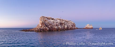 Los Islotes Island, Espiritu Santo-complex Biosphere Reserve, Sea of Cortez, Baja California, Mexico