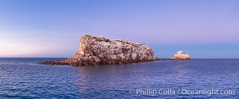 Los Islotes Island, famous for its friendly colony of California sea lions, Espiritu Santo Biosphere Reserve, Sea of Cortez, Baja California, Mexico.