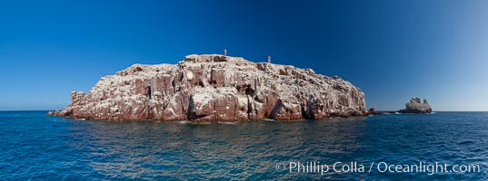 Los Islotes Island, Espiritu Santo-complex Biosphere Reserve, Sea of Cortez, Baja California, Mexico