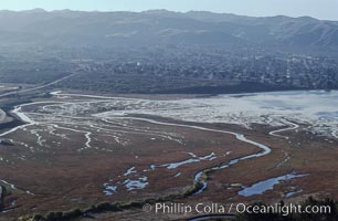 Los Osos tidelands south of Morro Bay