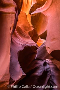 Lower Antelope Canyon, a deep, narrow and spectacular slot canyon lying on Navajo Tribal lands near Page, Arizona. Navajo Tribal Lands, USA, natural history stock photograph, photo id 28559