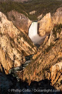 Lower Falls of the Yellowstone River. At 308 feet, the Lower Falls of the Yellowstone River is the tallest fall in the park. This view is from the famous and popular Artist Point on the south side of the Grand Canyon of the Yellowstone, Yellowstone National Park, Wyoming