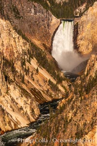 Lower Falls of the Yellowstone River. At 308 feet, the Lower Falls of the Yellowstone River is the tallest fall in the park. This view is from the famous and popular Artist Point on the south side of the Grand Canyon of the Yellowstone, Yellowstone National Park, Wyoming