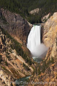 The Lower Falls of the Yellowstone River drops 308 feet at the head of the Grand Canyon of the Yellowstone. A long exposure blurs the fast-flowing water.  The canyon is approximately 10,000 years old, 20 miles long, 1000 ft deep, and 2500 ft wide. Its yellow, orange and red-colored walls are due to oxidation of the various iron compounds in the soil, and to a lesser degree, sulfur content, Yellowstone National Park, Wyoming