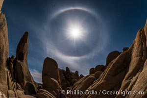 Full moon with 22-degree lunar halo, Joshua Tree National Park.  The lunar halo (not to be cofused with lunar corona) forms when moonlight refracts through high altitude ice crystals. As no light is refracted at angles smaller than 22-degrees the sky is darker inside the halo.