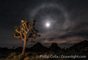 Lunar corona, or moon halo, also known as lunar nimbus, icebow or gloriole, occurring 22 degrees around the moon.  Observed during the full lunar eclipse of April 14/15 2014.  Planet Mars at upper right, blue star Spica to the right of the moon.