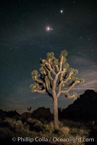 Full lunar eclipse, blood red moon, with blue star Spica (right of moon) and planet Mars (top right), over Joshua Tree National Park, April 14/15, 2014.