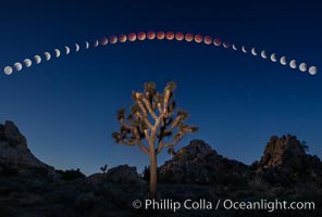 Lunar Eclipse and blood red moon sequence, composite image, Joshua Tree National Park, April 14/15 2014