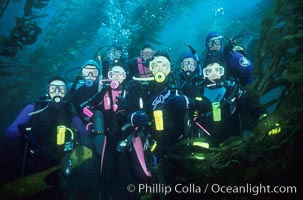 Divers and kelp forest.