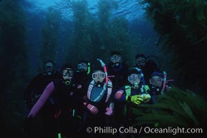 Divers and kelp forest, Macrocystis pyrifera, San Clemente Island