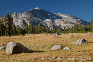 Mammoth Peak (12,117') rises above grassy meadows and granite boulders near Tioga Pass, Yosemite National Park, California