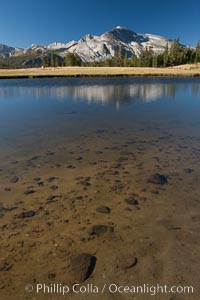 Mammoth Peak, stones, pond and meadow, Tuolumne Meadows.