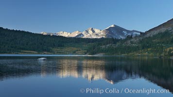 Mammoth Peak rises above a placid Tioga Lake, at sunrise, Yosemite National Park, California