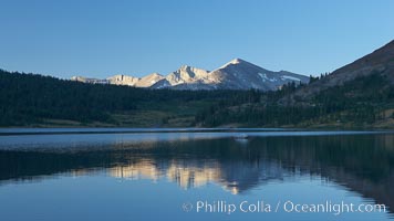 Mammoth Peak rises above a placid Tioga Lake, at sunrise, Yosemite National Park, California