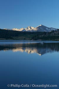 Mammoth Peak rises above a placid Tioga Lake, at sunrise, Yosemite National Park, California