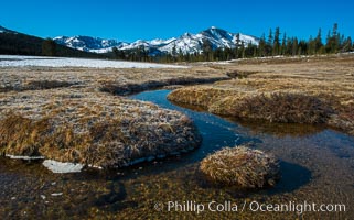 Mammoth Peak over Tuolumne Meadows, Tioga Pass, Yosemite National Park