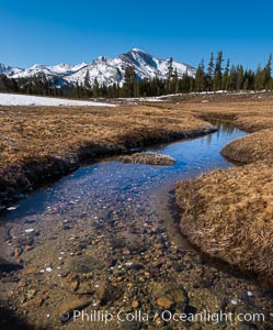 Mammoth Peak over Tuolumne Meadows, Tioga Pass, Yosemite National Park