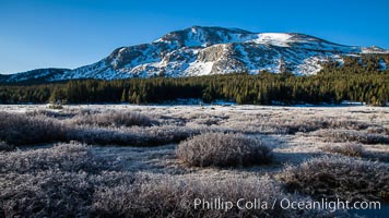 Mammoth Peak over Tuolumne Meadows, Tioga Pass, Yosemite National Park