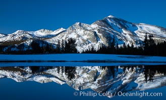 Mammoth Peak over Tuolumne Meadows, Tioga Pass, Yosemite National Park