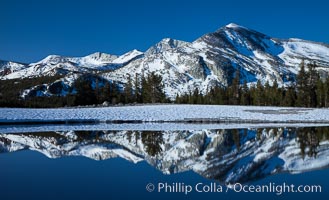 Mammoth Peak over Tuolumne Meadows, Tioga Pass, Yosemite National Park