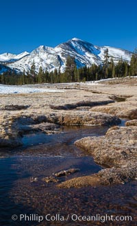 Mammoth Peak over Tuolumne Meadows, Tioga Pass, Yosemite National Park