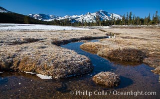 Mammoth Peak over Tuolumne Meadows, Tioga Pass, Yosemite National Park