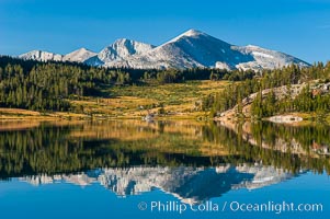 Mammoth Peak and alpine meadows in the High Sierra are reflected in Tioga Lake at sunrise. This spectacular location is just a short walk from the Tioga Pass road. Near Tuolumne Meadows and Yosemite National Park