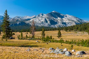 Mammoth Peak and alpine meadows in the High Sierra, viewed from the Tioga Pass road just west of the entrance to Yosemite National Park. Late summer.