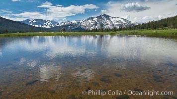 Mammoth Peak in the Yosemite High Country, reflected in small tarn pond, viewed from meadows near Tioga Pass, Yosemite National Park, California
