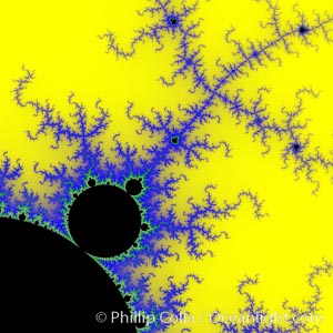 Detail within the Mandelbrot set fractal.  This detail is found by zooming in on the overall Mandelbrot set image, finding edges and buds with interesting features.  Fractals are complex geometric shapes that exhibit repeating patterns typified by self-similarity, or the tendency for the details of a shape to appear similar to the shape itself.  Often these shapes resemble patterns occurring naturally in the physical world, such as spiraling leaves, seemingly random coastlines, erosion and liquid waves.  Fractals are generated through surprisingly simple underlying mathematical expressions, producing subtle and surprising patterns.  The basic iterative expression for the Mandelbrot set is z = z-squared + c, operating in the complex (real, imaginary) number set, Mandelbrot set