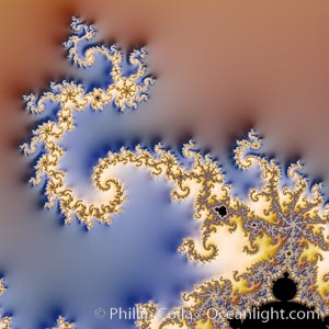 Detail within the Mandelbrot set fractal.  This detail is found by zooming in on the overall Mandelbrot set image, finding edges and buds with interesting features.  Fractals are complex geometric shapes that exhibit repeating patterns typified by self-similarity, or the tendency for the details of a shape to appear similar to the shape itself.  Often these shapes resemble patterns occurring naturally in the physical world, such as spiraling leaves, seemingly random coastlines, erosion and liquid waves.  Fractals are generated through surprisingly simple underlying mathematical expressions, producing subtle and surprising patterns.  The basic iterative expression for the Mandelbrot set is z = z-squared + c, operating in the complex (real, imaginary) number set, Mandelbrot set