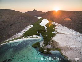 Mangroves, Ensenada de la Dispensa, Isla Espiritu Santo, aerial photo