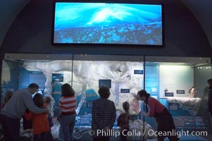 Visitors admire the marine life displays at the Milstein Hall of Ocean Life, American Museum of Natural History, New York City