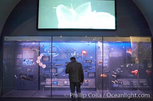 Visitors admire the marine life displays at the Milstein Hall of Ocean Life, American Museum of Natural History, New York City