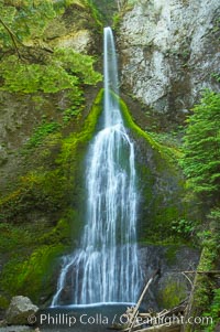 Marymere Falls cascades 90 feet through an old-growth forest of Douglas firs, near Lake Crescent, Olympic National Park, Washington