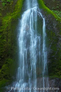 Marymere Falls drops 90 feet through an old-growth forest of Douglas firs, near Lake Crescent, Olympic National Park, Washington