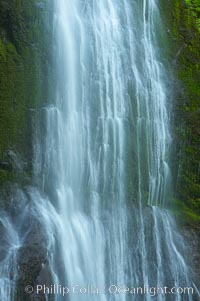 Marymere Falls drops 90 feet through an old-growth forest of Douglas firs, near Lake Crescent.