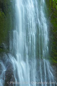 Marymere Falls drops 90 feet through an old-growth forest of Douglas firs, near Lake Crescent, Olympic National Park, Washington