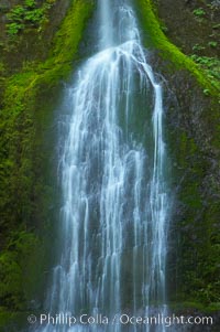 Marymere Falls drops 90 feet through an old-growth forest of Douglas firs, near Lake Crescent, Olympic National Park, Washington