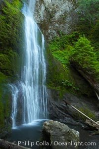 Marymere Falls drops 90 feet through an old-growth forest of Douglas firs, near Lake Crescent, Olympic National Park, Washington