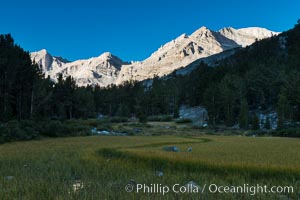 Meadow and Sierra Nevada peak Bear Creek Spire at sunrise, Little Lakes Valley, John Muir Wilderness, Inyo National Forest, Little Lakes Valley, Inyo National Forest