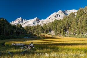 Meadow and Sierra Nevada peak Bear Creek Spire at sunrise, Little Lakes Valley, John Muir Wilderness, Inyo National Forest, Little Lakes Valley, Inyo National Forest