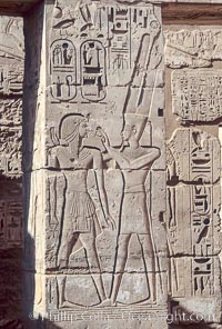 Wall detail, Medinet Habu, Luxor, Egypt