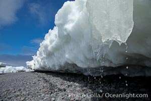 Melting ice along the shore of Paulet Island.