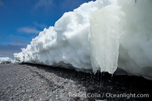 Melting ice along the shore of Paulet Island. Antarctic Peninsula, Antarctica, natural history stock photograph, photo id 24905