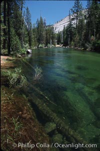 Merced River, Little Yosemite Valley, Yosemite National Park, California