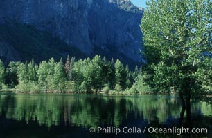 Merced River near peak flow floods Cooks Meadow in late Spring, Yosemite Valley, Yosemite National Park, California