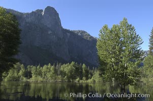 Merced River near peak flow floods Cooks Meadow in late Spring, Yosemite Valley, Yosemite National Park, California