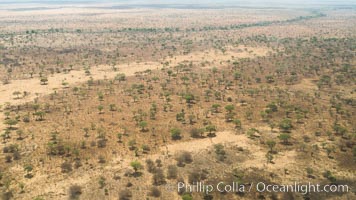 Meru National Park aerial view of landscape